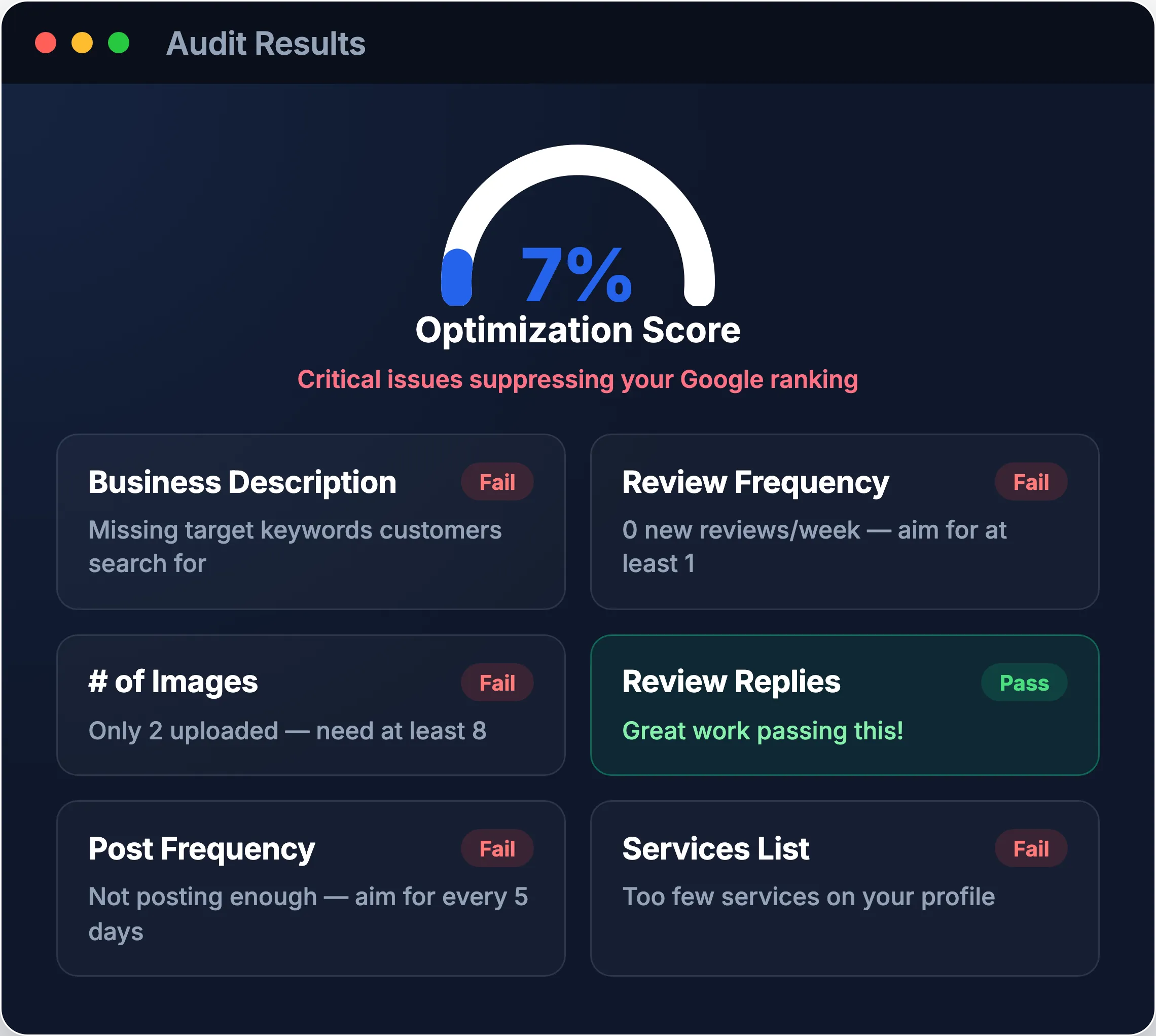 Audit results showing an optimization score and a pass/fail checklist