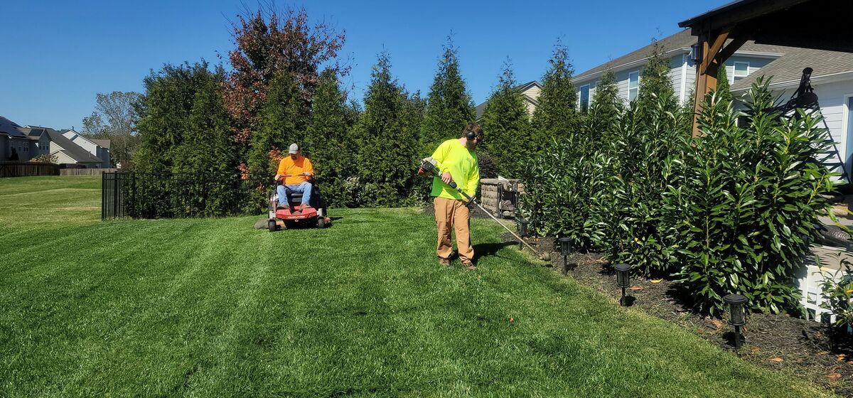 Lawn Care Companies business owner using ReviewWheel — review automation built for lawn care companies home service businesses.